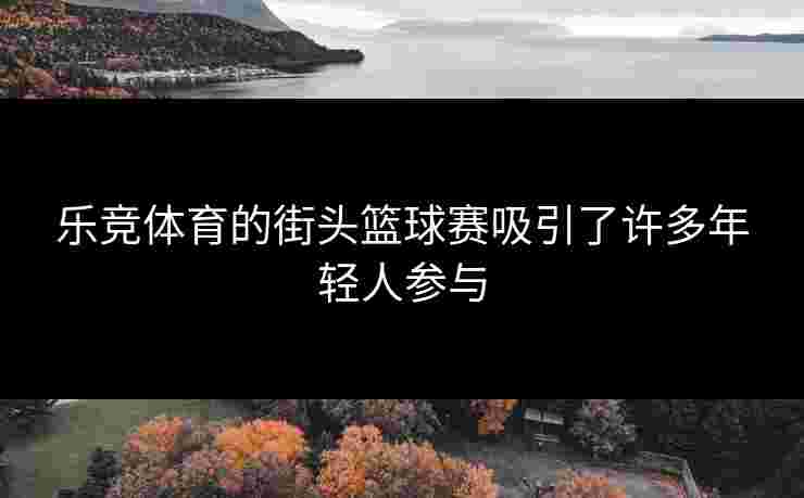 乐竞体育的街头篮球赛吸引了许多年轻人参与